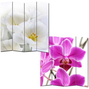 Mendler Foto-Paravent Paravent Raumteiler Spanische Wand M68 ~ Variantenangebot 12939