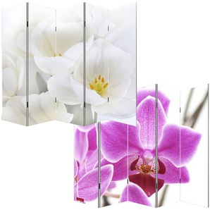 Mendler Foto-Paravent Paravent Raumteiler Spanische Wand M68 ~ Variantenangebot 15692