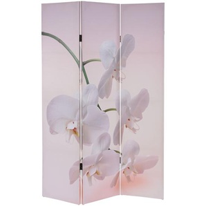 Mendler Foto-Paravent T233, Paravent Raumteiler Spanische Wand, MVG-zertifiziert 180x120cm ~ Variantenangebo 35983