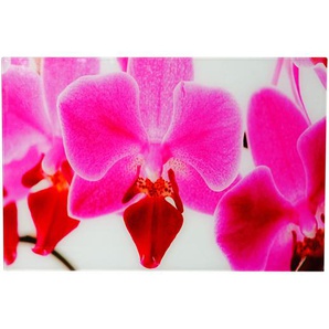 Mendler Glasbild T116, Wandbild Poster Motiv, 40x60cm ~ Variantenangebot 34251
