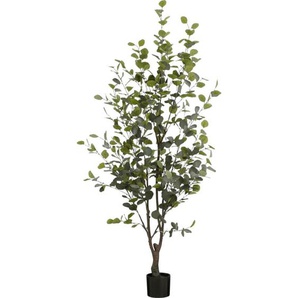 Mica Decorations - Mica Eukalyptusbaum im Topf grün Polyester 180 cm Eingetopft