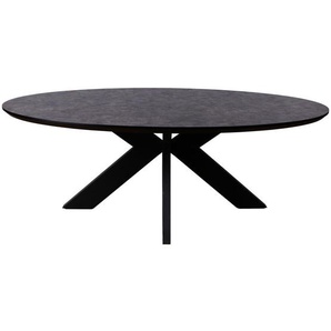 Mid.you Esstisch, Braun, Metall, Kunststoff, Holzwerkstoff, oval, Flachrohr, 120x76x220 cm, Esszimmer, Tische, Esstische, Esstische oval