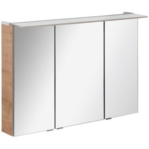 Mid.you Spiegelschrank, Metall, F, 100x69.5x23.5 cm, Badezimmer, Badezimmerspiegel, Spiegelschränke