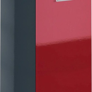 Midischrank MARLIN 3040 Schränke Gr. B/H/T: 40 cm x 91,2 cm x 35 cm, links, 1 St., rot Bad-Midischrank Badmöbelserien Breite 40 cm