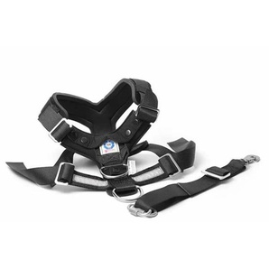 Mimsafe - Allsafe Xl 55kg Car harness