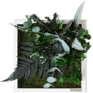 Moosbild Stylegreen, Grün, Holz, Eiche, 22x22x15-17 cm, 3D-Effekt, einfache und schnelle Anbringung, pflegefrei – nicht gießen oder besprühen, keine Beleuchtung notwendig, Bilder, Moosbilder