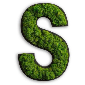 Moosbild Stylegreen, Grün, Holz, Kork, 26x18x4 cm, einfache und schnelle Anbringung, pflegefrei – nicht gießen oder besprühen, keine Beleuchtung notwendig, Bilder, Moosbilder