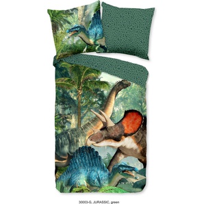 Muller Textil Good Morning Kinder Bettwäsche mit Dinos - 135x200 cm - 100% Baumwolle 30003-G