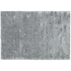 Musterring Teppich   ¦ grau ¦ Synthetische Fasern ¦ Maße (cm): B: 170 H: 3,5