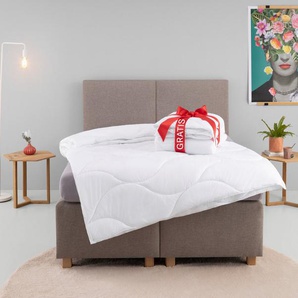 my home Microfaserbettdecke Caelan, kaufe eine Decke - erhalte die Leichtbettdecke gratis dazu!, Füllung: 100% Polyester, Bezug: 100% Polyester, Bettdecke 135x200 cm und 155x220 cm, Sommer, Winter