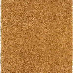 Myflair Möbel & Accessoires Hochflor-Teppich My Shaggy, rechteckig, Höhe: 37 mm, Shaggy, Uni-Farben, leicht glänzend, Microfaser, extra flauschig