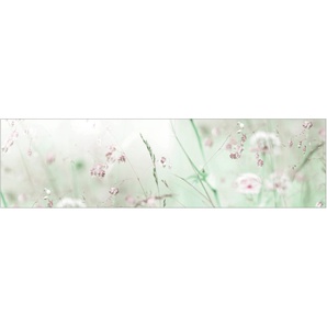 MYSPOTTI Küchenrückwand fixy Wildblumen Spritzschutzwände selbstklebende und flexible Küchenrückwand-Folie Gr. B/H: 220 cmx60 cm, bunt Küchendekoration