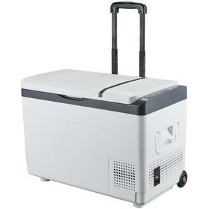 Nabo Kühlbox , Schwarz, Silber , 30 L , 60x42.5x32.5 cm , herausnehmbare Trenngitter, ausklappbare Tragegriffe, Schnappverschluss, Rollen , Freizeit, Unterwegs, Kühlboxen