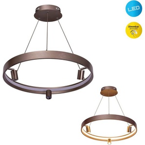 näve LED Pendelleuchte Tristan, Dimmfunktion, LED fest integriert, Warmweiß, Hänge-, Pendellampe warmweiß, 58cm, 37W, stahl-blank, inkl. Trafo,IP20