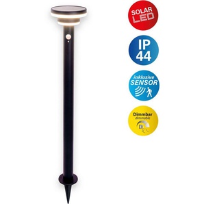 näve LED Solarleuchte Nora, Bewegungsmelder, LED fest integriert, Warmweiß, inkl. Bewegungsmelder, stufenweise dimmbar, H: 86cm, mit Erdspieß