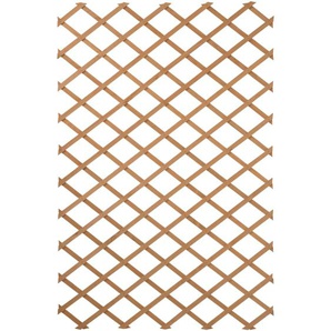Nature Garten Rankgitter 100x300 cm Holz Braun