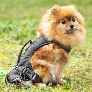 Navaris Hundegeschirr - dunkelgrau -