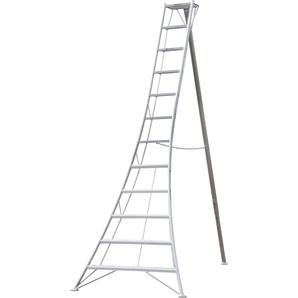 NIWAKI Vielzweckleiter Leitern Gr. B/H: 147 cm x 360 cm, silberfarben Leitern
