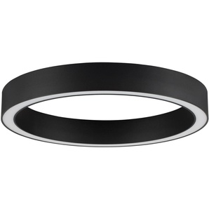 Nova Luce LED Deckenleuchte »STING«, 1 flammig, Leuchtmittel LED-Modul   LED fest integriert