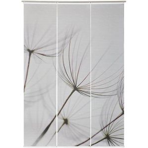 Novel Flächenvorhang Pusteblume, Grau, Weiß, Textil, 60x245 cm, ohne Technik, Wohntextilien, Gardinen & Vorhänge, Schiebegardinen
