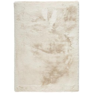 Novel Hochflorteppich Pumori, Beige, Textil, rechteckig, 140x200 cm, Bsci, Oeko-Tex® Standard 100, für Fußbodenheizung geeignet, Teppiche & Böden,