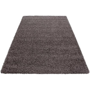 Novel Hochflorteppich Dream 4000 , Taupe , Textil , Uni , rechteckig , 160 cm , Oeko-Tex® Standard 100 , für Fußbodenheizung geeignet, schmutzabweisend, Hausstauballergiker lichtunempfindlich, antistatisch, waschbar, pflegeleicht, strapazierfähig, leicht