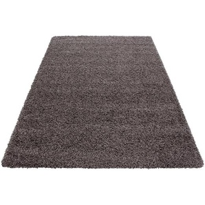 Novel Hochflorteppich, Taupe, Textil, Uni, rechteckig, 160x230 cm, Oeko-Tex® Standard 100, für Fußbodenheizung geeignet, schmutzabweisend, Hausstauballergiker lichtunempfindlich, antistatisch, pflegeleicht, strapazierfähig, leicht zusammenrollbar,