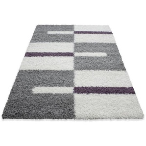 Novel Hochflorteppich Gala 2505 , Lila , Textil , Karo , rechteckig , 160 cm , Oeko-Tex® Standard 100 , für Fußbodenheizung geeignet, schmutzabweisend, Hausstauballergiker lichtunempfindlich, antistatisch, waschbar, pflegeleicht, strapazierfähig, leicht