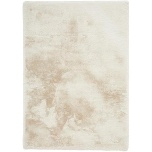 Novel Hochflorteppich Lhasa, Hellbraun, Textil, Tier, rechteckig, 160x230 cm, Bsci, Oeko-Tex® Standard 100, für Fußbodenheizung geeignet, Teppiche &