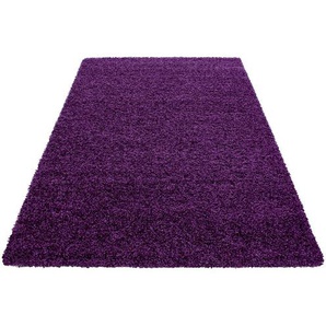 Novel Hochflorteppich, Lila, Textil, Uni, rechteckig, 200x290 cm, Oeko-Tex® Standard 100, für Fußbodenheizung geeignet, schmutzabweisend, Hausstauballergiker lichtunempfindlich, antistatisch, pflegeleicht, strapazierfähig, leicht zusammenrollbar, Teppiche