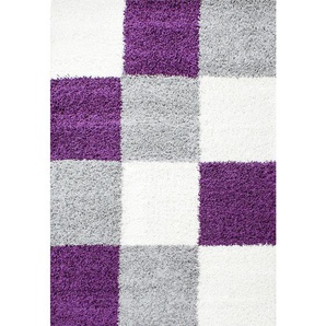 Novel Hochflorteppich Life 1501 , Lila , Textil , Karo , rechteckig , 160 cm , Oeko-Tex® Standard 100 , für Fußbodenheizung geeignet, schmutzabweisend, Hausstauballergiker lichtunempfindlich, antistatisch, waschbar, pflegeleicht, strapazierfähig, leicht
