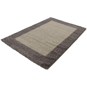 Novel Hochflorteppich, Taupe, Textil, Bordüre, rechteckig, 200x290 cm, Oeko-Tex® Standard 100, für Fußbodenheizung geeignet, schmutzabweisend, Hausstauballergiker lichtunempfindlich, antistatisch, pflegeleicht, strapazierfähig, leicht zusammenrollbar,