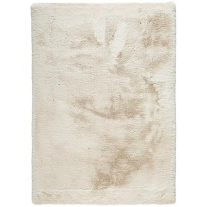 Novel Hochflorteppich Pumori, Beige, Textil, rechteckig, 80x150 cm, Bsci, Oeko-Tex® Standard 100, für Fußbodenheizung geeignet, Teppiche & Böden,