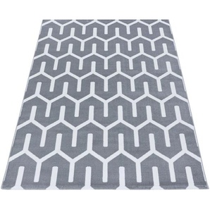 Novel Webteppich, Grau, Textil, Streifen, rechteckig, 160x230 cm, Oeko-Tex® Standard 100, für Fußbodenheizung geeignet, schmutzabweisend, Hausstauballergiker lichtunempfindlich, antistatisch, pflegeleicht, strapazierfähig, leicht zusammenrollbar, Teppiche