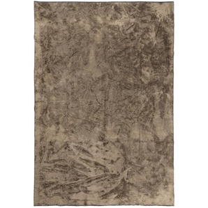 Novel Webteppich, Braun, Textil, rechteckig, 200 cm, für Fußbodenheizung geeignet, antistatisch, Teppiche & Böden, Teppiche, Moderne Teppiche