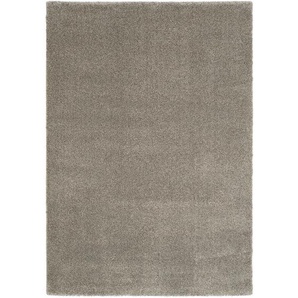 Novel Webteppich, Braun, Textil, Uni, rechteckig, 240 cm, Oeko-Tex® Standard 100, für Fußbodenheizung geeignet, pflegeleicht, Teppiche & Böden, Teppiche, Moderne Teppiche