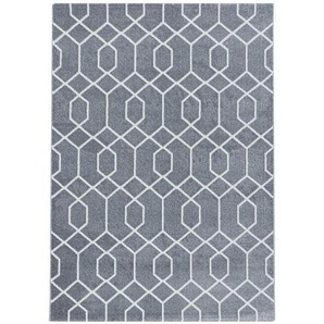 Teppiche in Moebel Grau | Preisvergleich 24