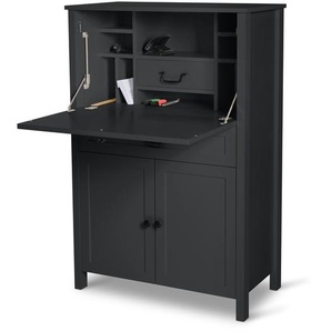 Officeschrank »Clara«, schwarz