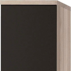 Apothekerschrank OPTIFIT Faro Schränke Gr. B/H/T: 30 cm x 174,4 cm x 57,1 cm, 2 St., grau (anthrazit) Apothekerschränke 2 Auszüge, Metallgriffe, Breite 30 cm