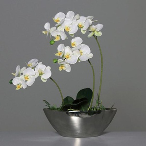 Orchidee, Creme, Kunststoff, 54 cm, Dekoration, Kunstblumen