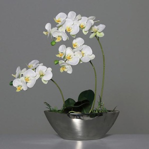 Orchidee , Creme , Kunststoff , 54 cm , Dekoration, Kunstblumen