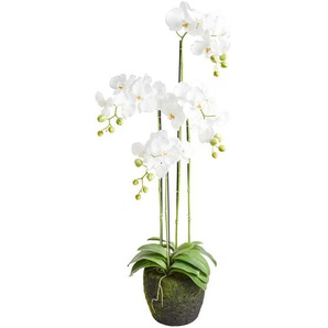Orchidee, Weiß, Kunststoff, 100 cm, Dekoration, Kunstblumen
