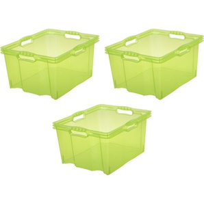 Organizer KEEEPER franz Aufbewahrungsboxen Gr. B/H/T: 35 cm x 23 cm x 43 cm, grün Aufbewahrungsbox Stapelbox Stapelboxen Aufbewahrungsboxen xl, 24 Liter, hochwertiger Kunststoff