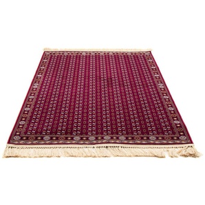 Orientteppich MORGENLAND Afghan Mauri Teppiche Gr. B/L: 100 cm x 150 cm, 8 mm, 1,5 m², 1 St., rot (dunkelrot) Orientalische Muster