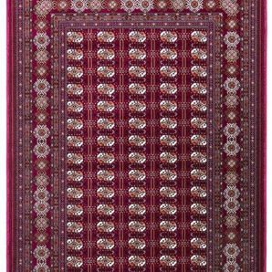 Orientteppich MORGENLAND Orientteppich - Buchara rechteckig Teppiche Gr. B/L: 100 cm x 200 cm, 8 mm, 2 m², 1 St., rot (weinrot) Geknüpfte Teppiche