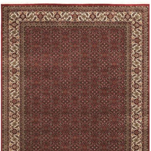 Orientteppich OCI DIE TEPPICHMARKE Kamaro Herati Teppiche Gr. B/L: 70 cm x 140 cm, 20 mm, 1 St., rot (rot, creme) Orientalische Muster reine Wolle, warmes Raumklima, hochwertig handgeknüpft, mit Fransen