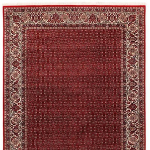 Orientteppich OCI DIE TEPPICHMARKE Sultan Herati Teppiche Gr. B/L: 140 cm x 200 cm, 15 mm, 1 St., rot (rot, creme) Fransenteppich Orientalische Muster hochwertig handgeknüpft, mit Fransen, Wohnzimmer