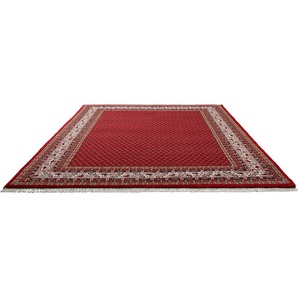 Orientteppich THEKO Chandi Mir Teppiche Gr. B/L: 170 cm x 240 cm, 12 mm, 1 St., rot (rot, creme) Schurwollteppiche reine Wolle, handgeknüpft, mit Fransen