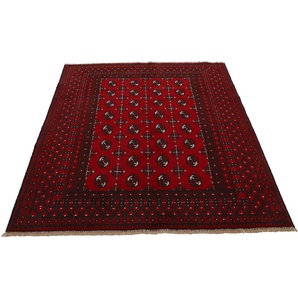 Orientteppich WOVEN ARTS Afghan Akhche Bokhara Teppiche Gr. B/L: 120 cm x 180 cm, 8 mm, 1 St., rot Orientalische Muster reine Schurwolle für ein warmes Raumklima, handgearbeitet