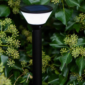 Oudoor-Solar-LED-Wegeleuchte - schwarz -
